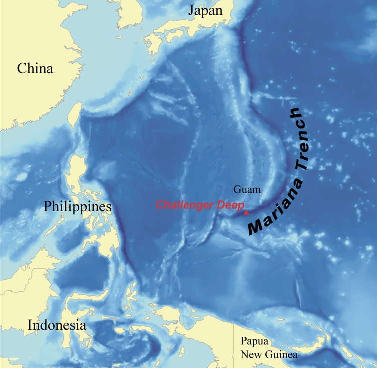 The Mariana trench
