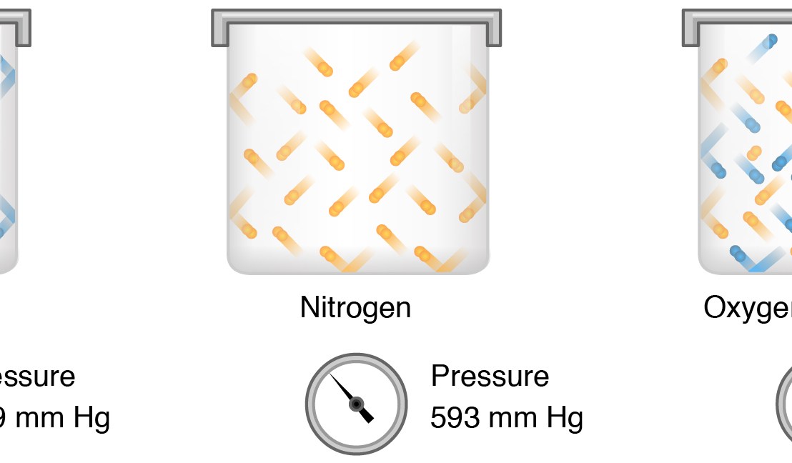 Partial pressure