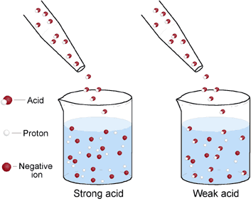 Strong and weak acids and&nbsp;bases
