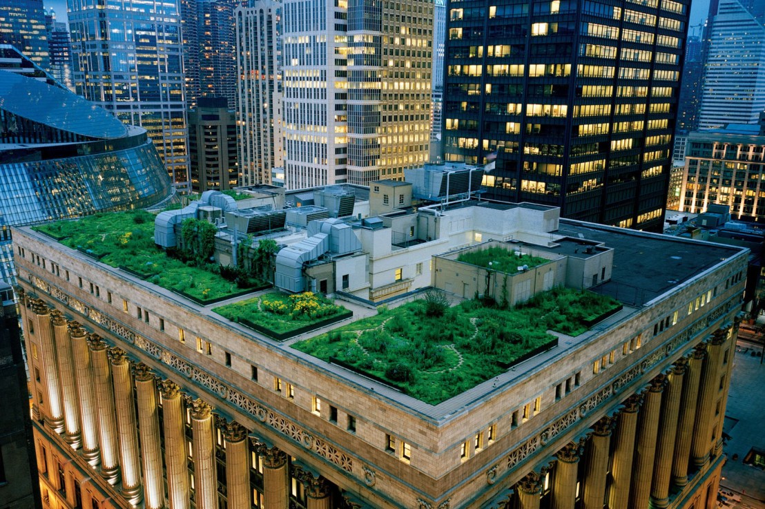 Green rooftops