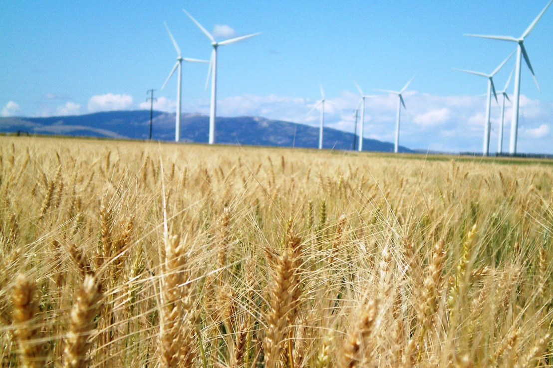 U.S investment into sustainable&nbsp;energy