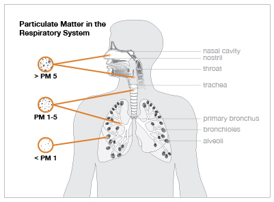 Particulate matter