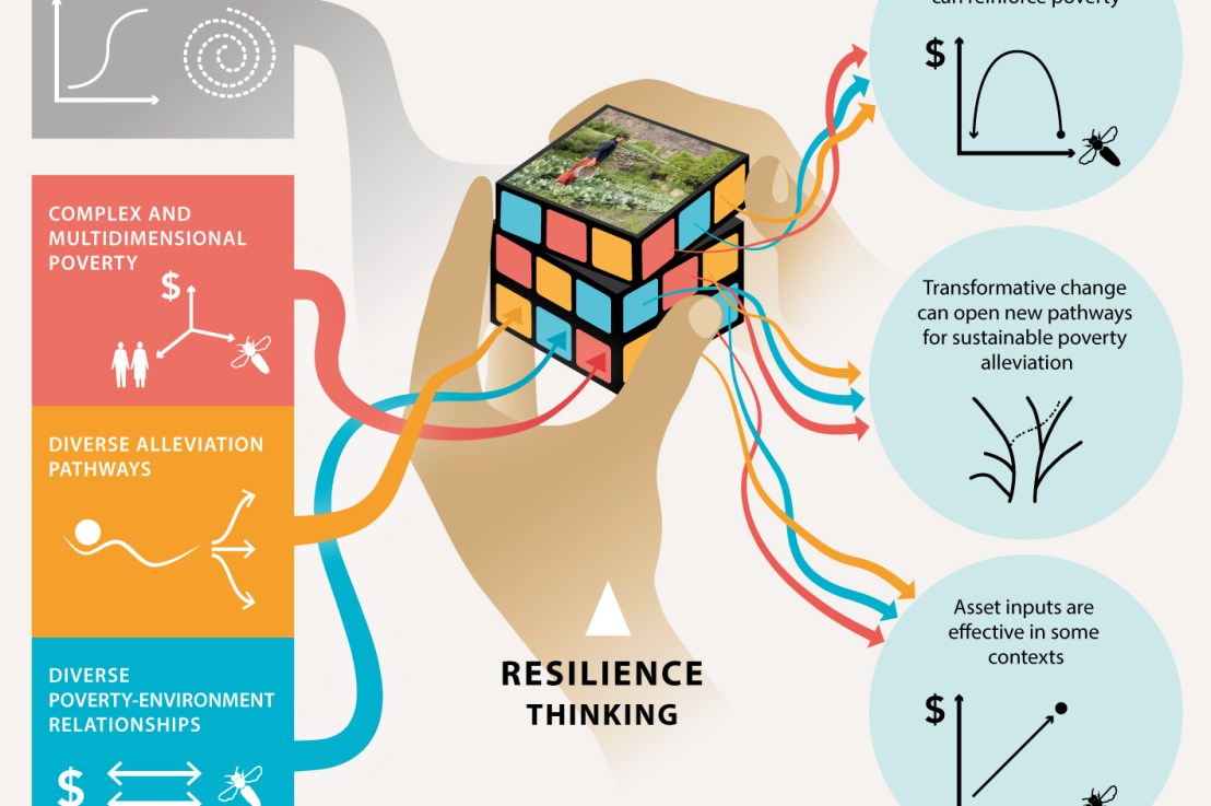 Resilience Inputs