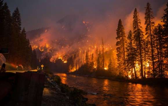 Why Do Forest Fires Cause Air&nbsp;Pollution?