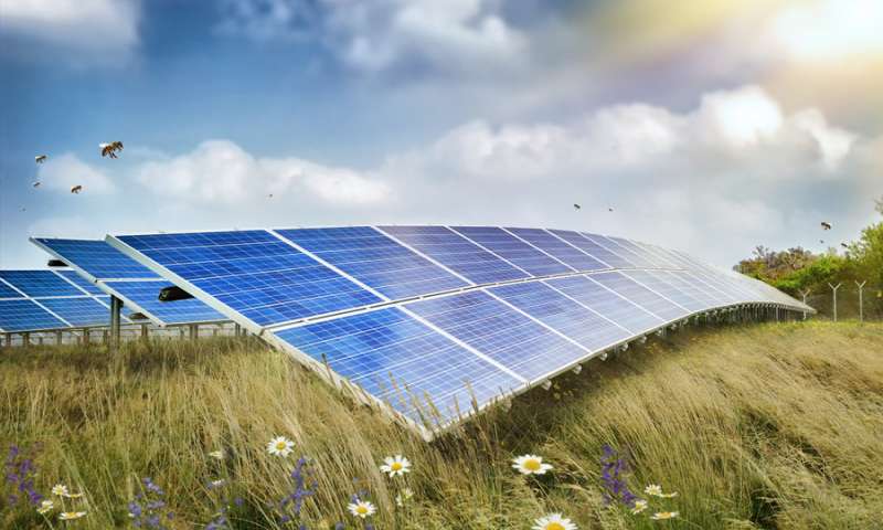 How Solar Panels Can Help With Bee&nbsp;Conservation