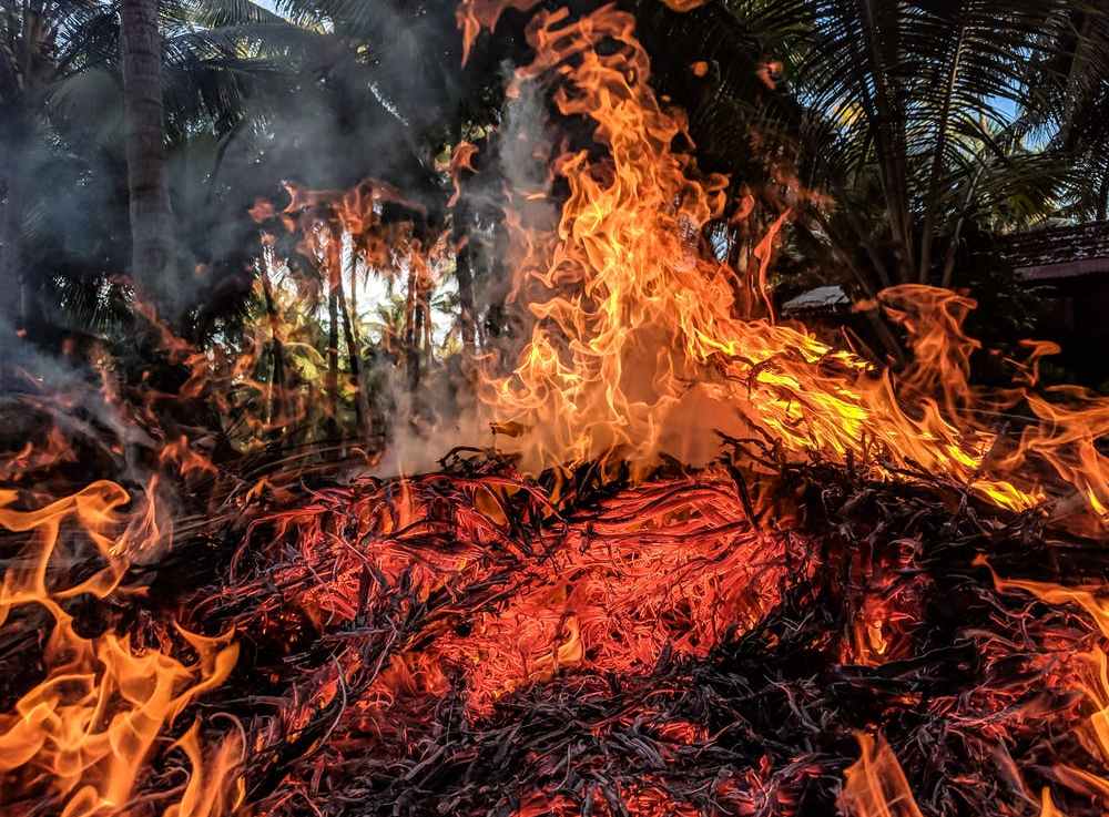 Wildfire Conditions Monitoring