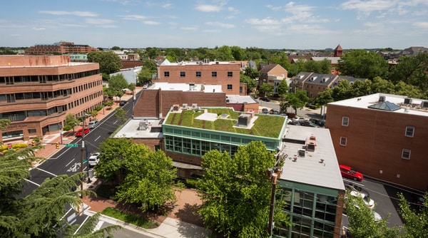 How Green Roofs Can Create Flood&nbsp;Resilience