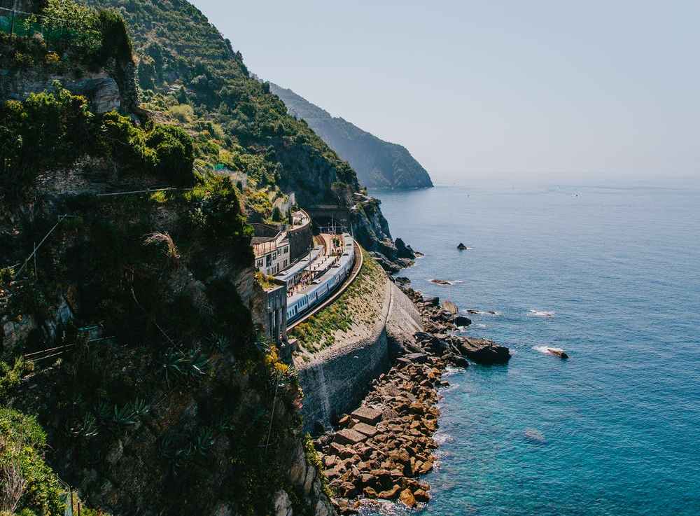 Why Planting Native Trees Can Build Resilience to&nbsp;Wildfires