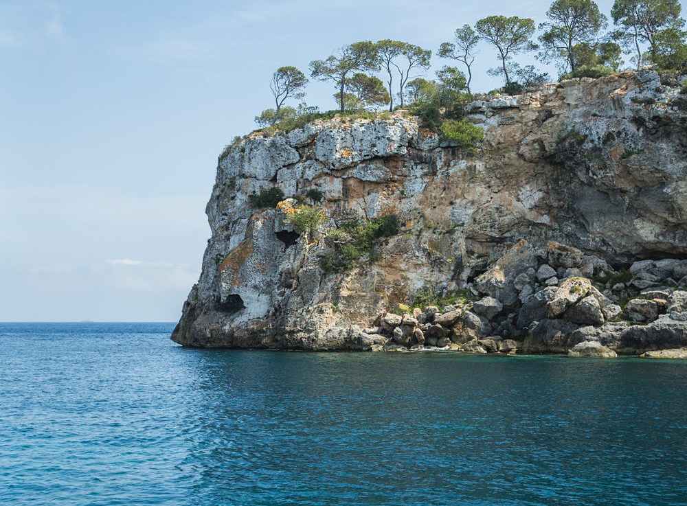 Why Mediterranean Climates Are More Prone to&nbsp;Wildfires