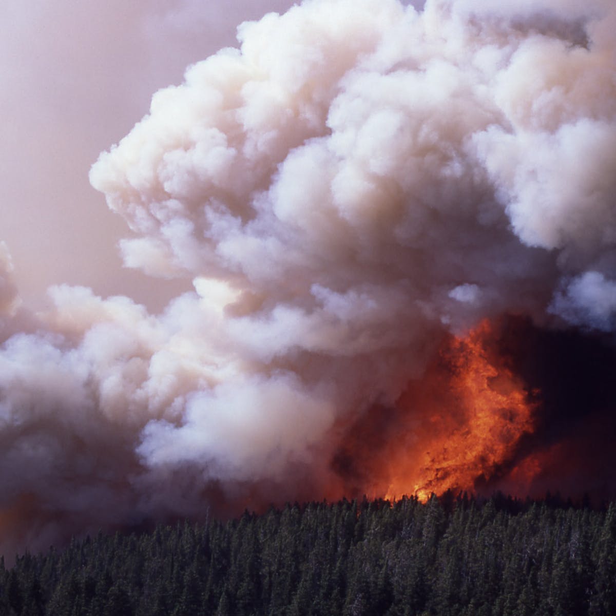 How Bushfires Can Develop Their Own Weather – Isaac's Science Blog