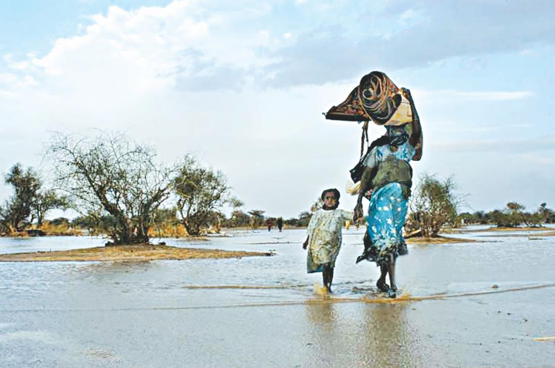 Climate Migration Analysis