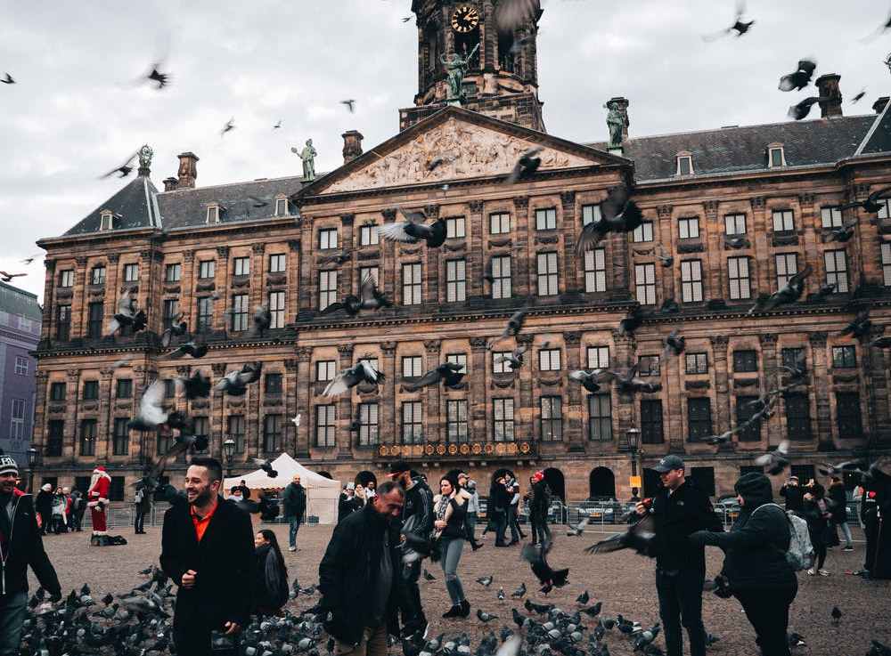 Why Public Health and Climate Resilience Are&nbsp;Intertwined