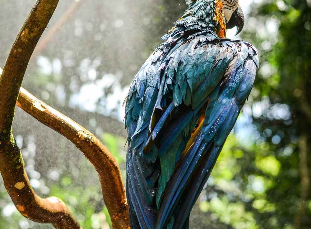 Ecological Data Analysis