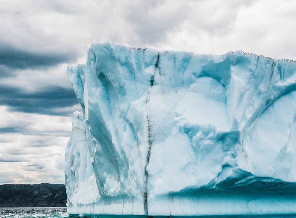 Climate Disinformation