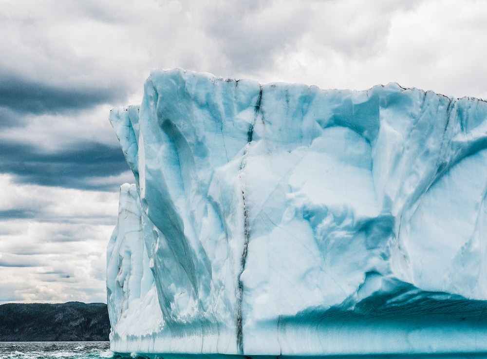 Climate Emergency Simulations