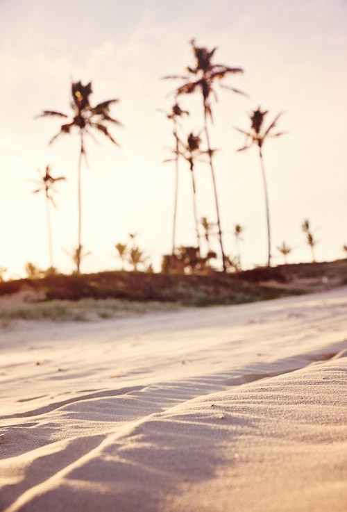 Why Porous Land Makes Flooding Adaptation Construction More Difficult