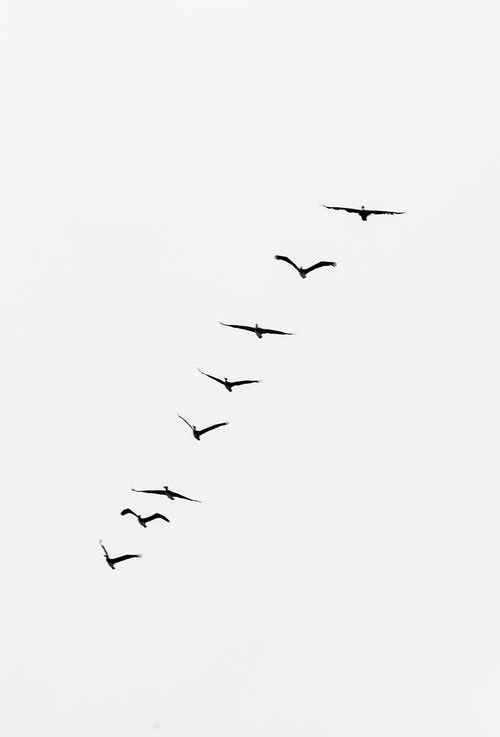 Climate and Non-Climate Migration Model&nbsp;Coupling