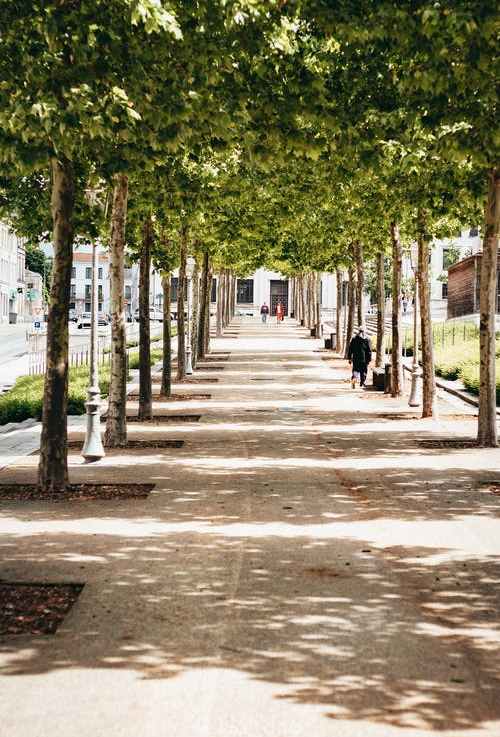 Why Global Warming Will Make Sidewalks Less&nbsp;Walkable