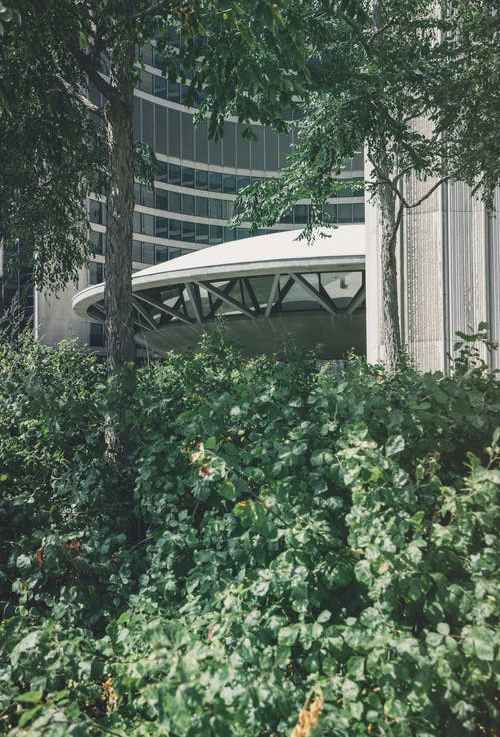 How Rooftop Gardens Can Build Climate&nbsp;Resilience
