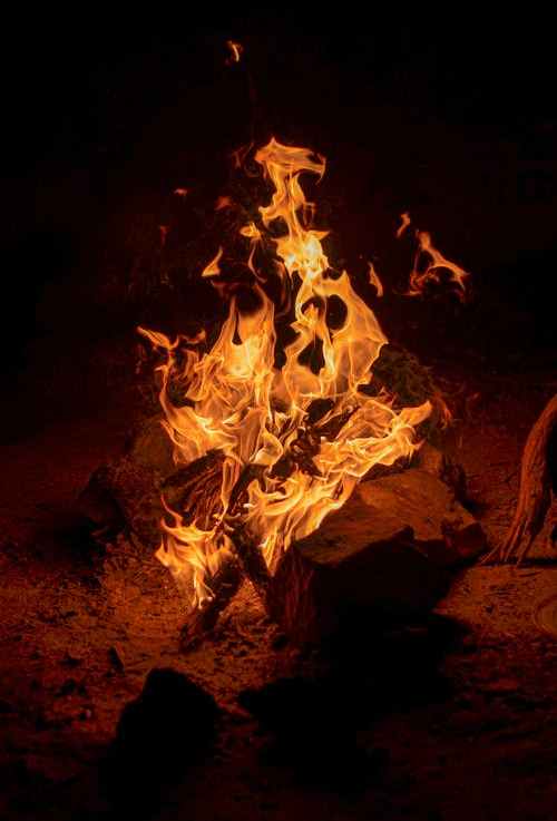 Why Simple Online Fire Notifications Is a Necessity for Emergency&nbsp;Response