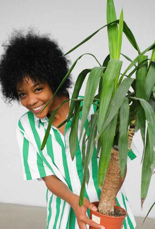 Temporary Uniform Housing Relocation Act&nbsp;Moves