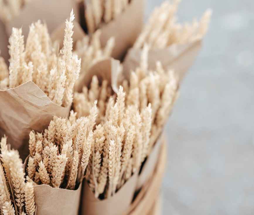 Municipality Food Stockpile Budgeting