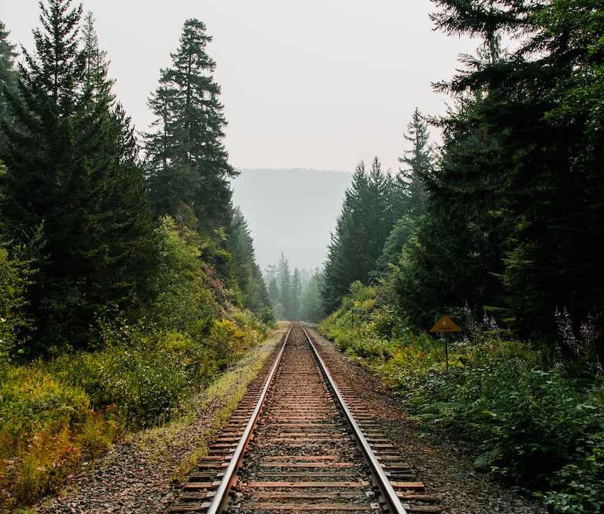 <strong>War Reparations for Green Infrastructure</strong>