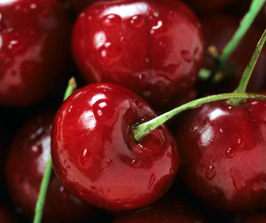 <strong>Why Air Pollution Harms Local&nbsp;Fruit</strong>