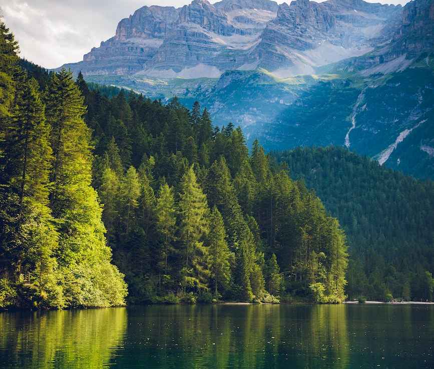 Council on Environmental&nbsp;Quality