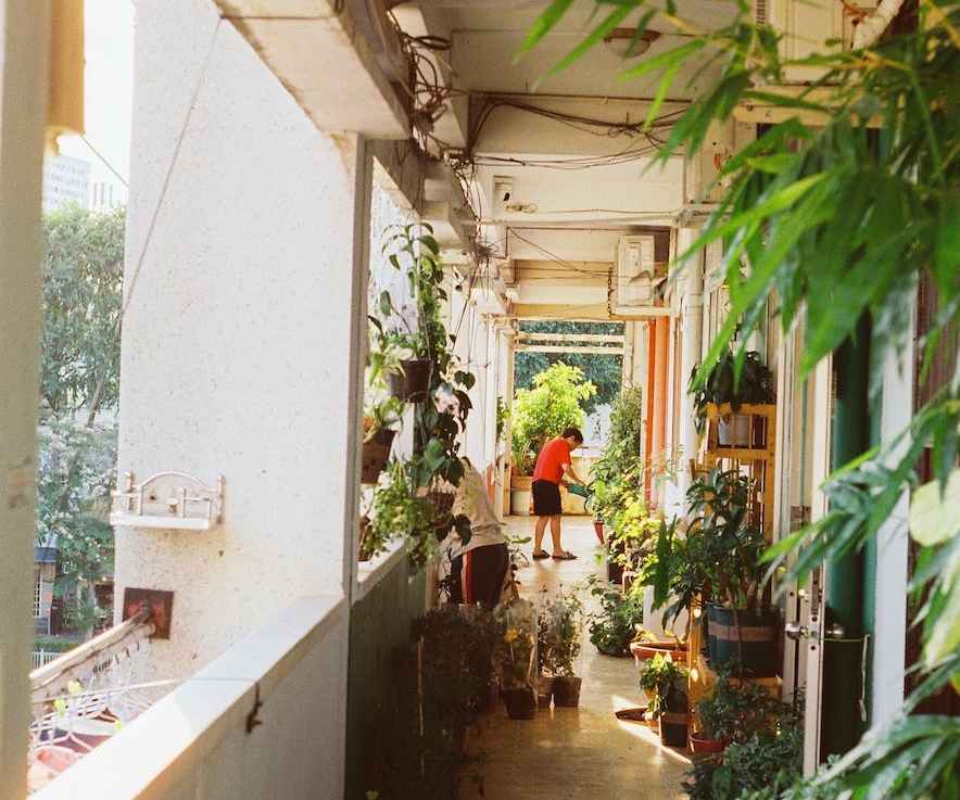 Why Passive Houses Require High-Quality&nbsp;Windows