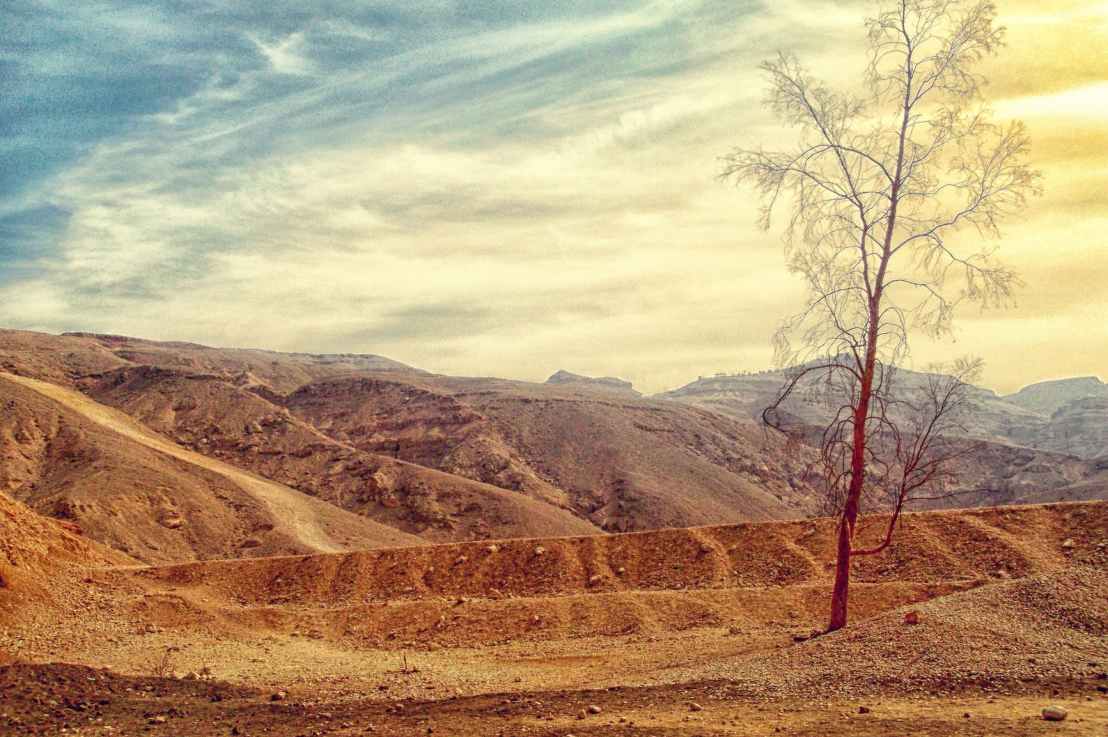 Why Emergency Health Professionals Should Analyze Weather Forecasts in Their&nbsp;Work