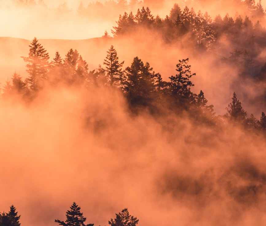 Why the 2023 Canadian Wildfires Demonstrate That International Climate Cooperation is&nbsp;Necessary