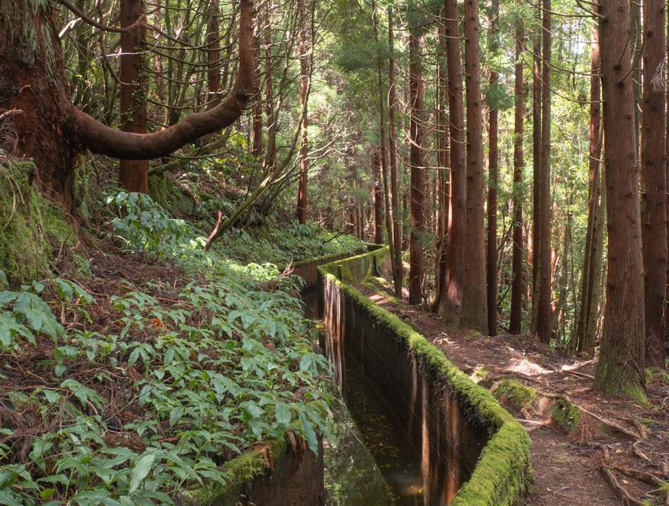 Why Learning About Drainage Canals Should Be a Part of Adaptation Engineering&nbsp;Training