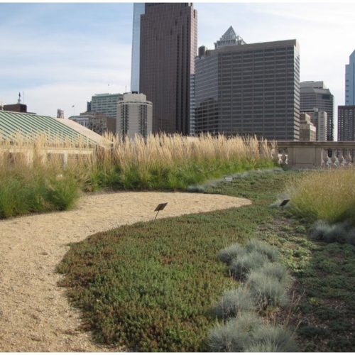 Semi-Intensive Green Roofs