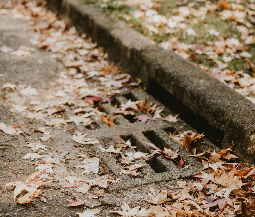 Why Catch Basins Can Attract&nbsp;Pests