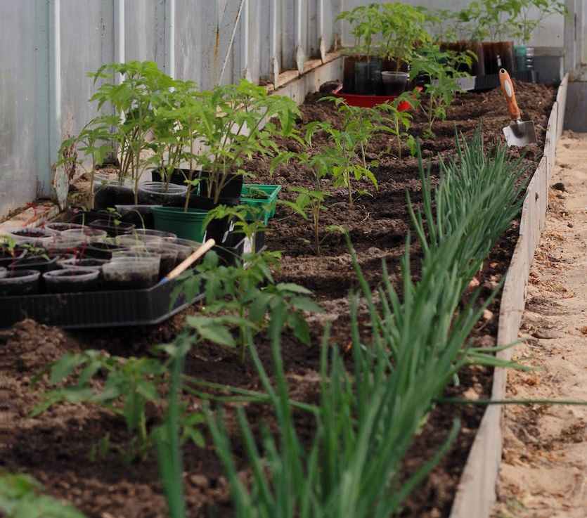 Compost Blanket Design&nbsp;Considerations