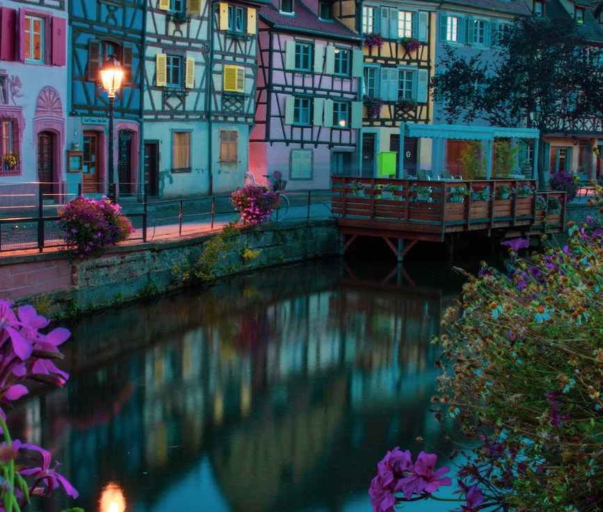 Capturing Water in Porous Concrete to Nourish Street&nbsp;Foliage