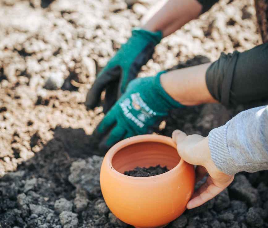 The Benefits of Compost&nbsp;Blankets