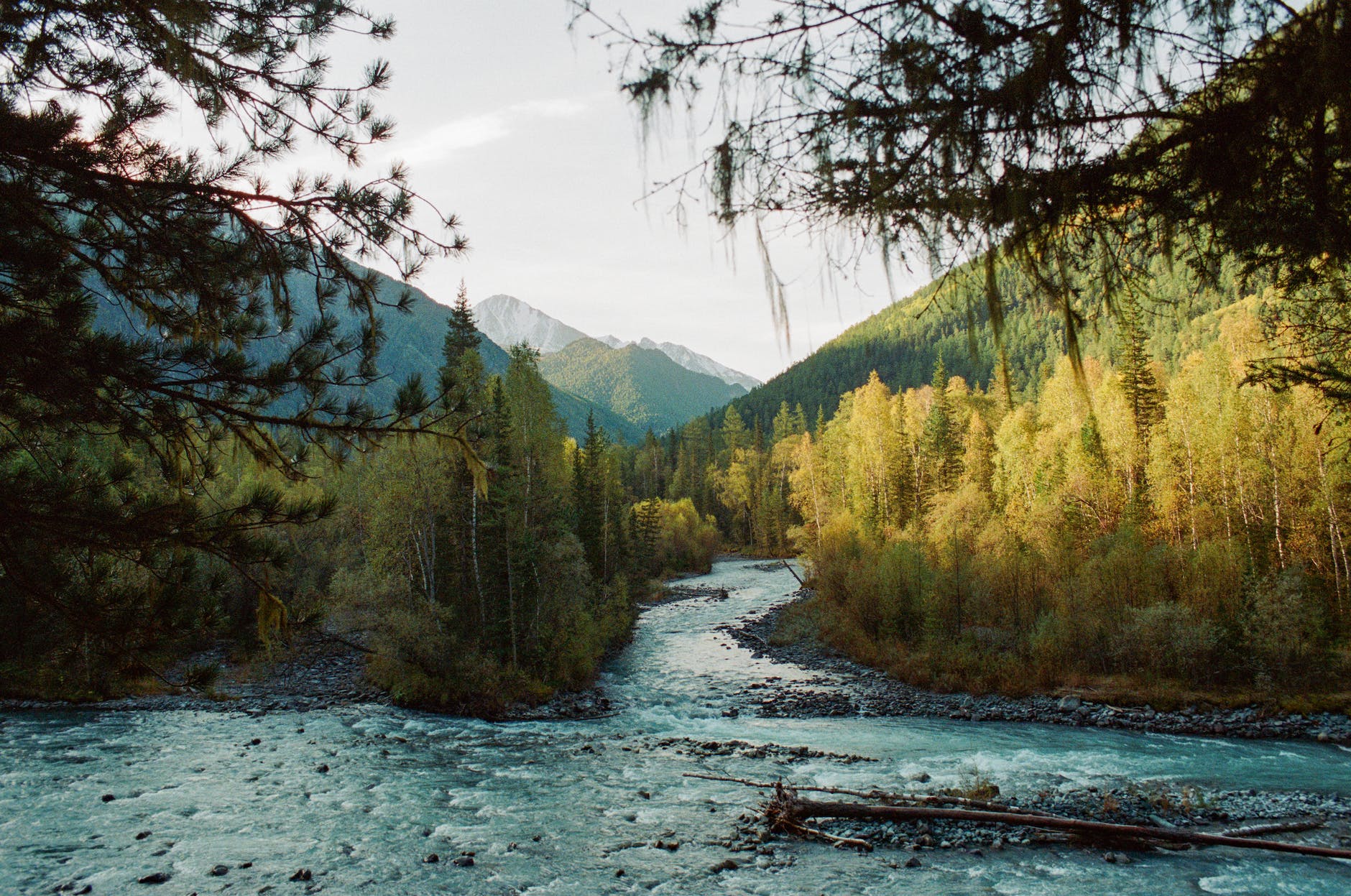 River Distributaries – Isaac's Science Blog