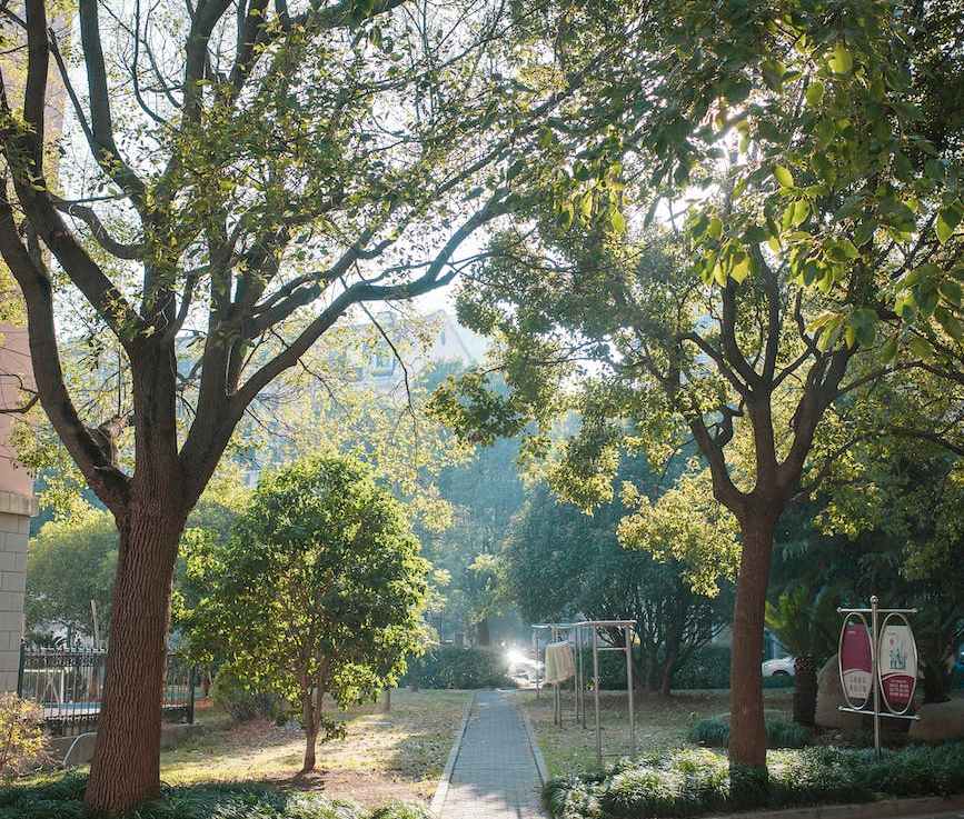 Why It’s Advantageous to Surround a Water Square With Green&nbsp;Space