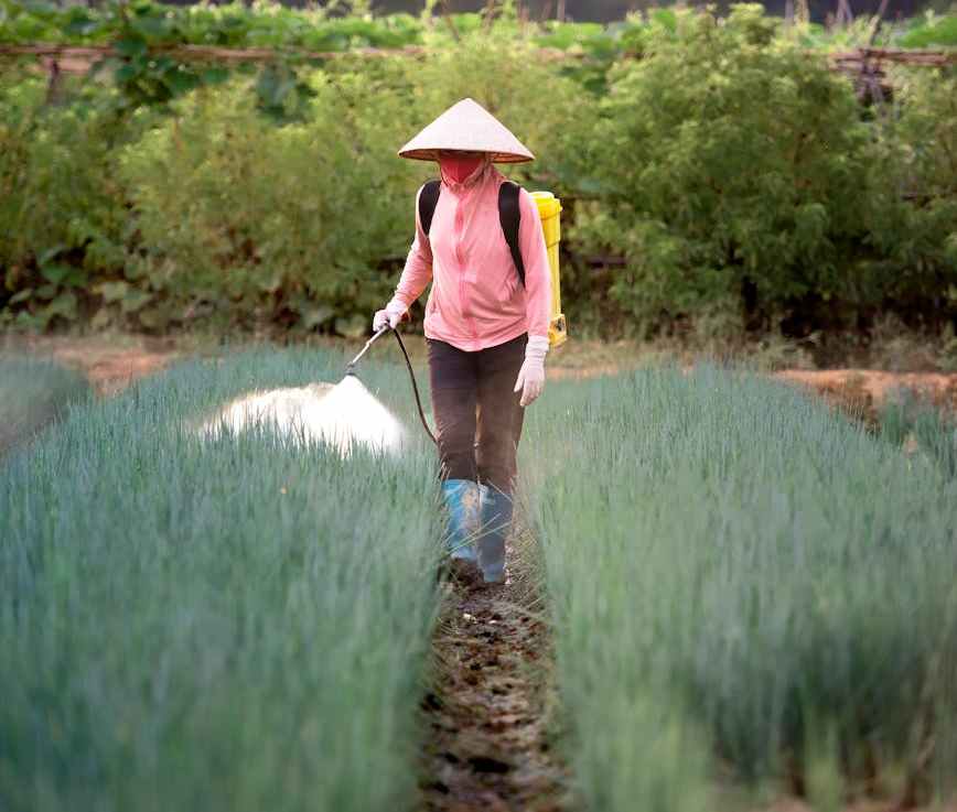 Sources of Nitrogen Water&nbsp;Pollution