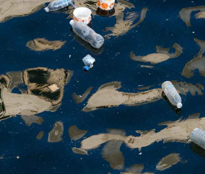 Why Municipal Combined Storm Sewer Systems May Overflow With Pollution During&nbsp;Floods