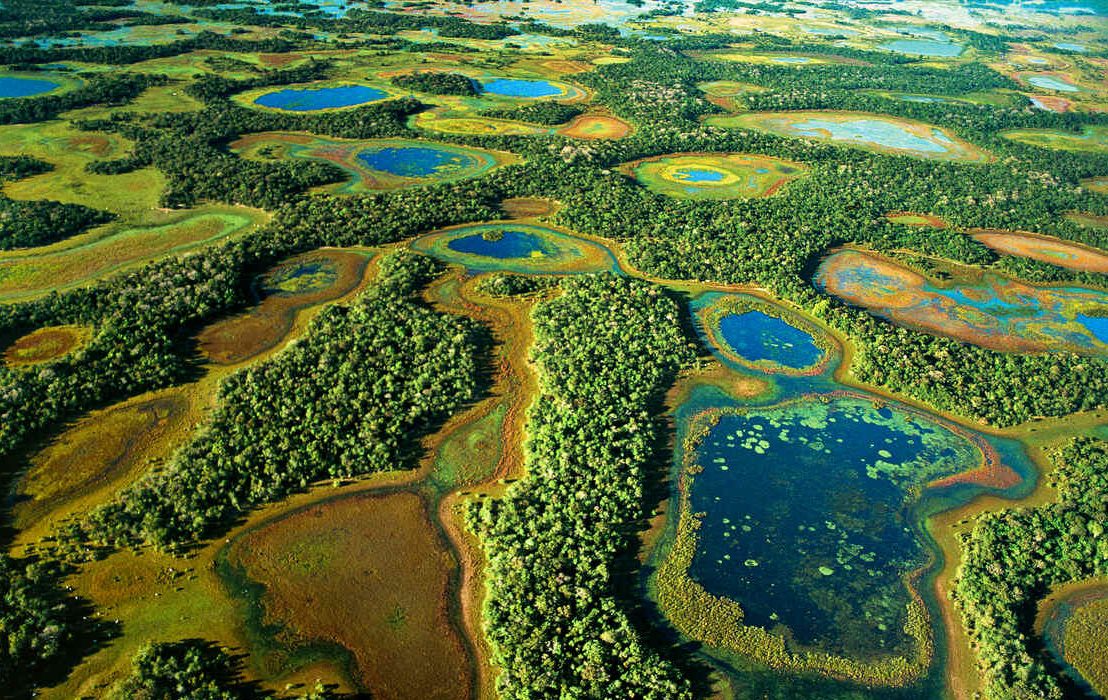 The Pantanal