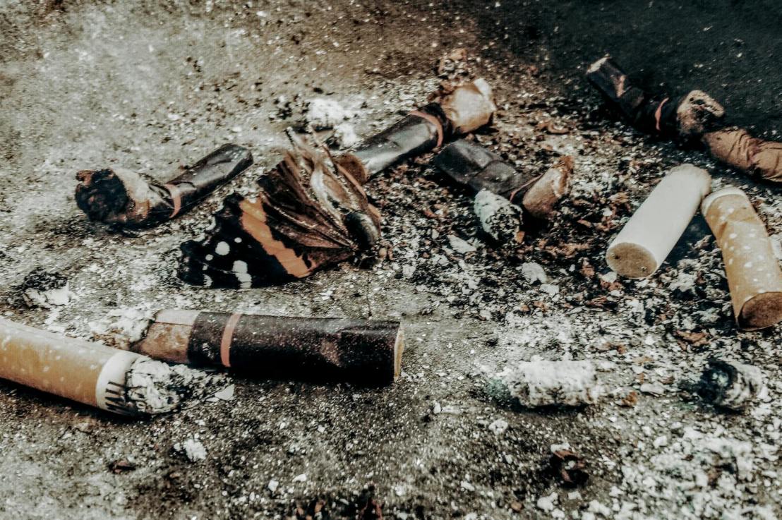 In Situ Bioremediation