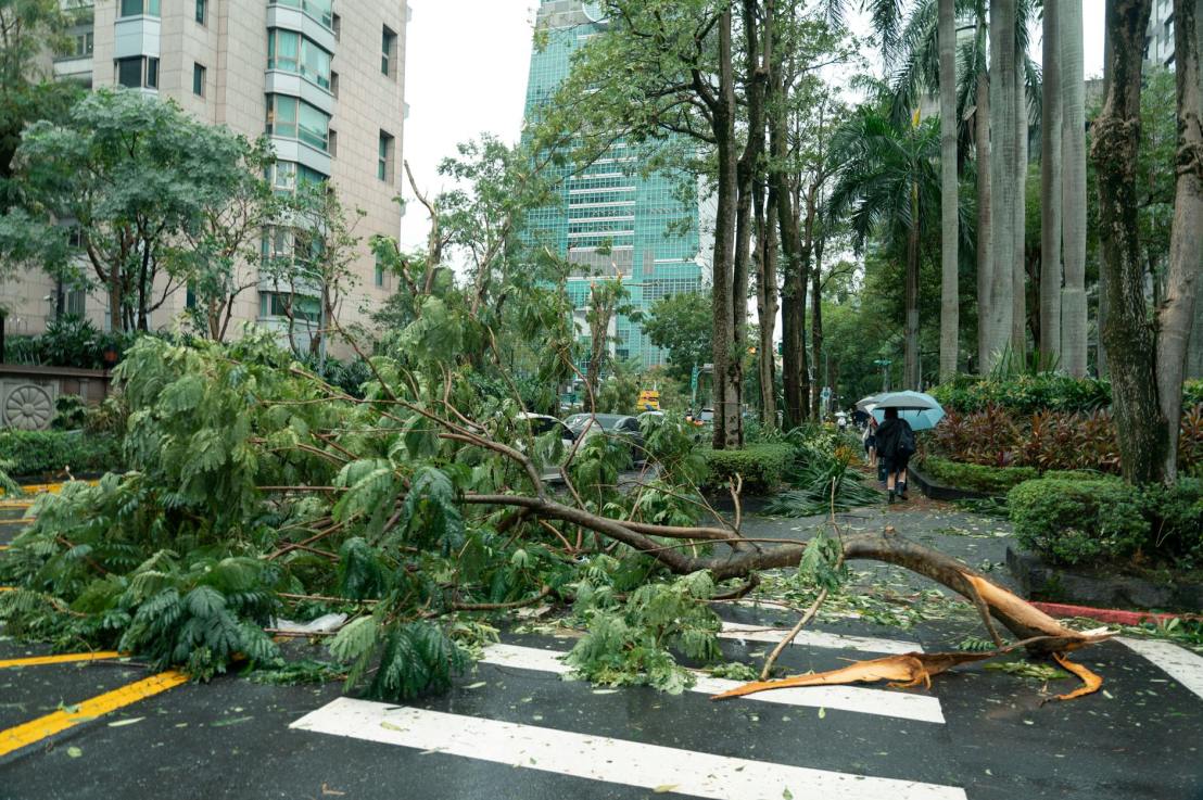 Environmental Impact Assessments