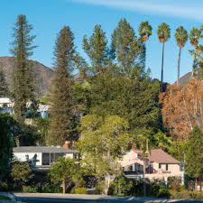 Why The State of California Should Prioritize the Rebuilding of&nbsp;Altadena