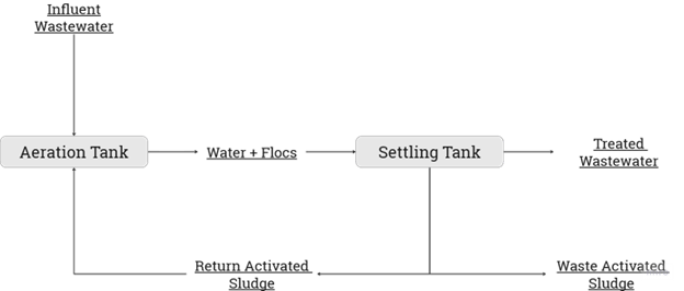 Conventional Activated Sludge (CAS)&nbsp;Systems