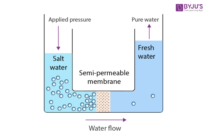 Osmotic Pressure