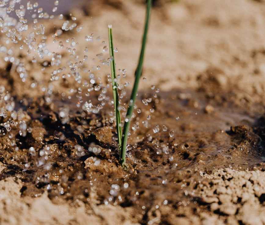 Soil Infiltration vs Transmission&nbsp;Rates