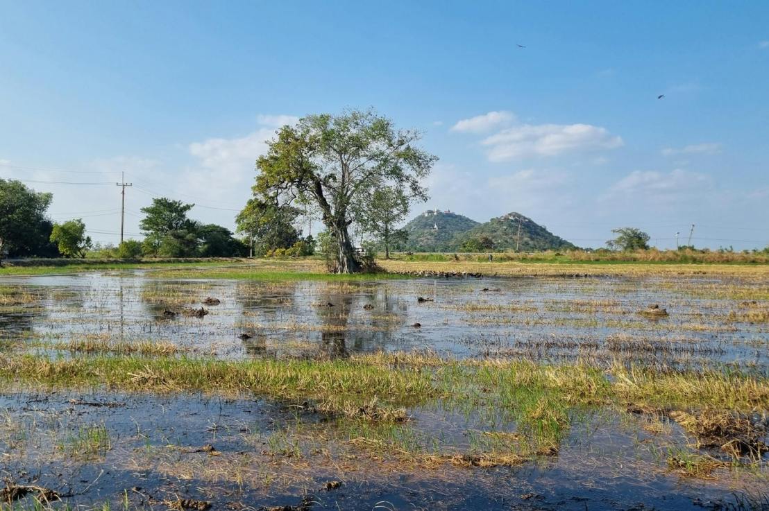 Waterlogging